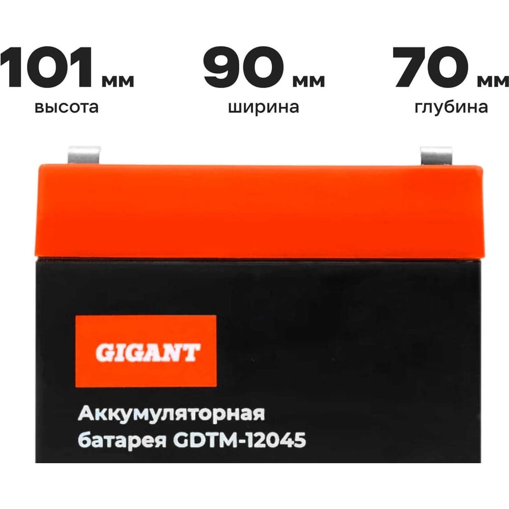 Аккумуляторная батарея Gigant GDTM-12045 — фото 4