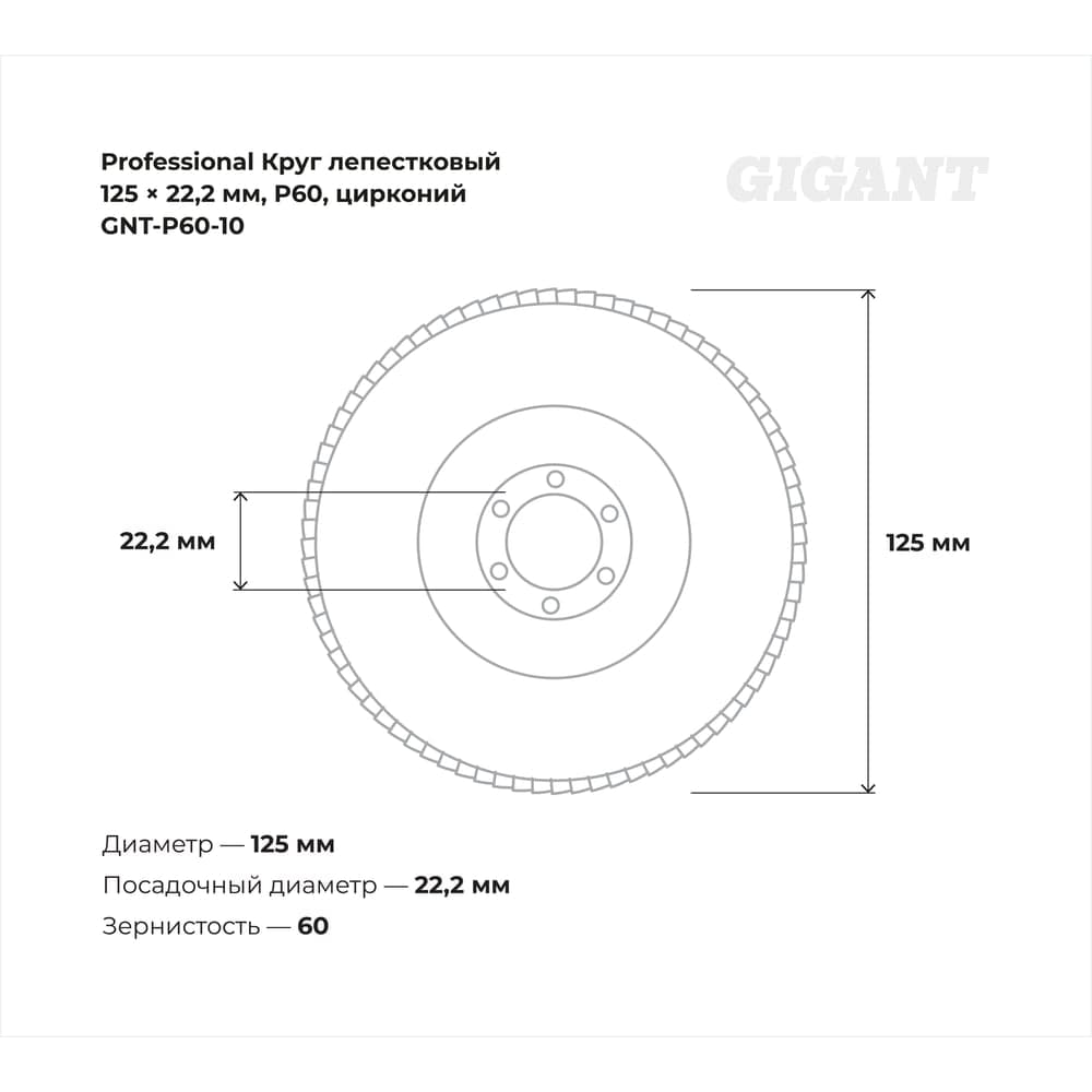 Круг лепестковый 125x22,2 мм; P60; цирконий, 10 шт Gigant Professional GNT-P60-10 — фото 3